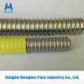 stainless steel extensible hose